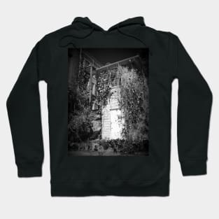 Towers O'er The Grass Hoodie